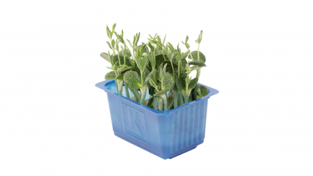 Lupine Cress [1]