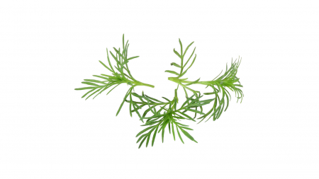 Microplante si cress - Paztizz Tops®, bax cu 2 caserole a cate 51 de frunze fiecare, 30x40cm