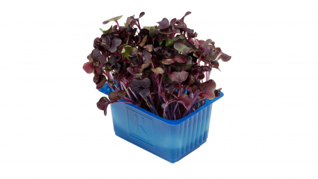 Sakura Cress®, bax cu 16 pahare, 30x40cm [1]