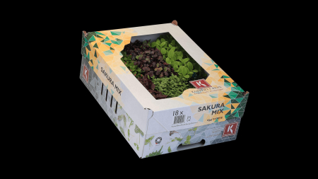 Microplante si cress - Sakura Mix