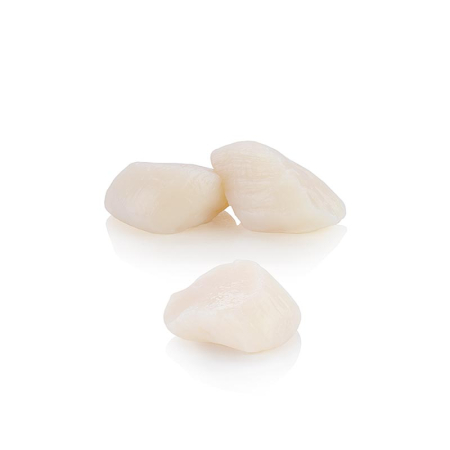 Creveti - Scoici (Pecten Maximus), mici, fara icre, congelate, aprox. 1000 g, 48 bucăți
