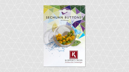 Sechuan Buttons®, bax cu 2 pahare a cate 30 flori fiecare, 30x40cm [1]