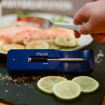 Setul de termometru pentru carne MeatStick Mini X cu aplicatie [1]