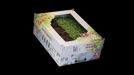 Microplante si cress - Shiso Mixed