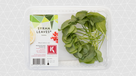 Syrha Leaves [1]