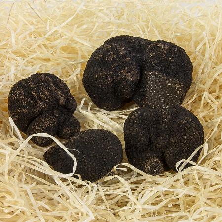 Trufe de iarna - tuber melanosporum prima alegere, mari, Australia, iunie/august, 25G [1]