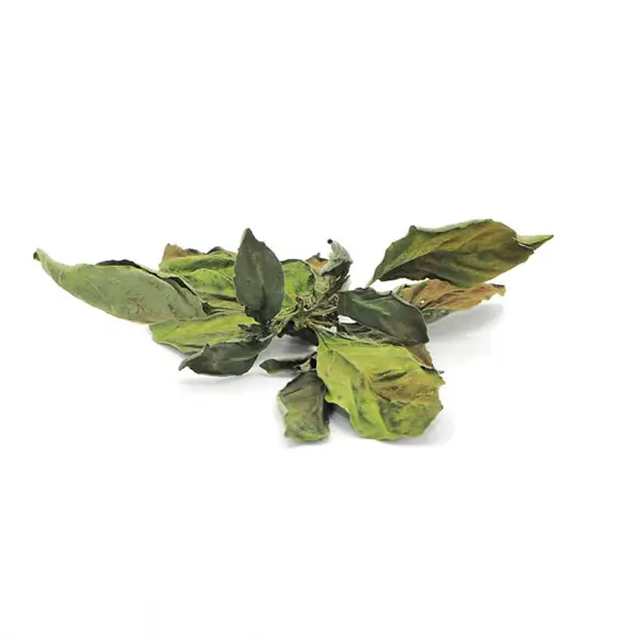 Bacanie - Busuioc Uscat Ordine Contadino 10g