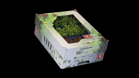 Microplante si cress - Whatznew Mix