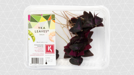 Yka Leaves®, bax cu 2 caserole a cate 15 frunze fiecare, 30x40cm [1]