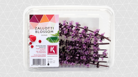 Zallotti Blossom, bax cu 10 caserole a cate 10 flori, 30x40cm [1]
