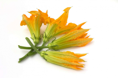 Microplante si cress - Floare de Dovleac (fiore di zucca), bax cu 15 flori ambalate individual, 30x40x9cm