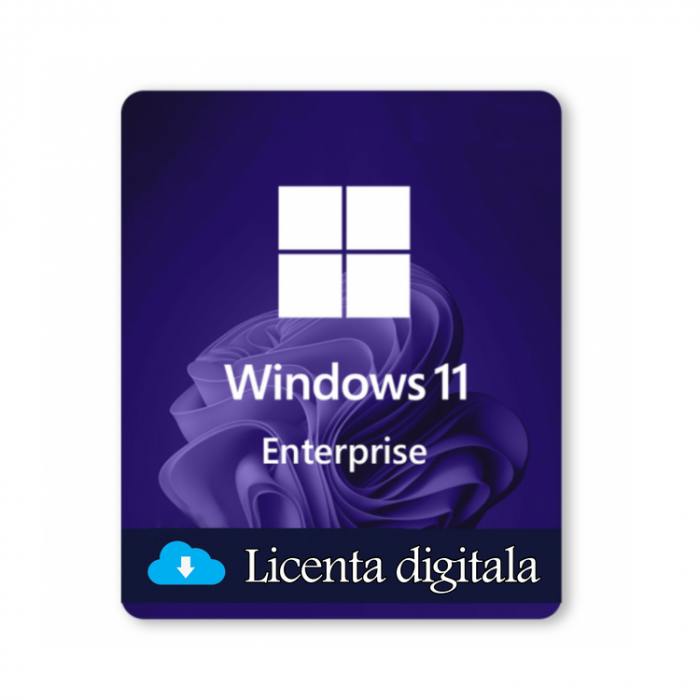 Windows 11 Enterprise - licenta digitala [1]