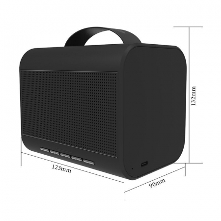 Boxa portabila Bluedio T-Share 2.0, Wireless, Bluetooth, Microfon, Apel Vocal, Control Vocal [2]