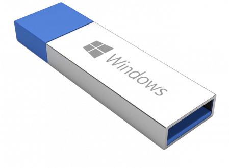 Stick USB cu licenta digitala Windows 11 Professional Retail [1]