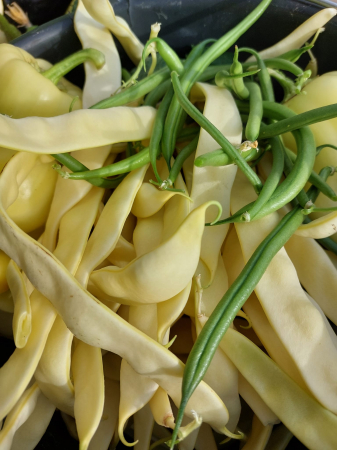 LEGUME - Fasole păstăi