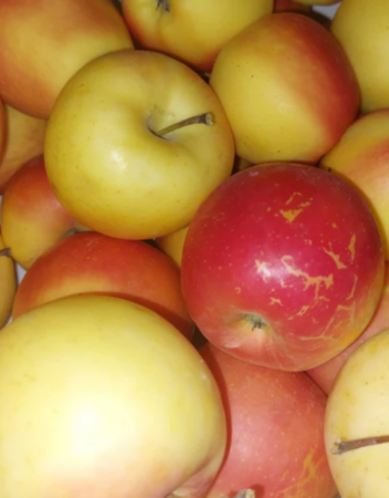 FRUCTE - Mere