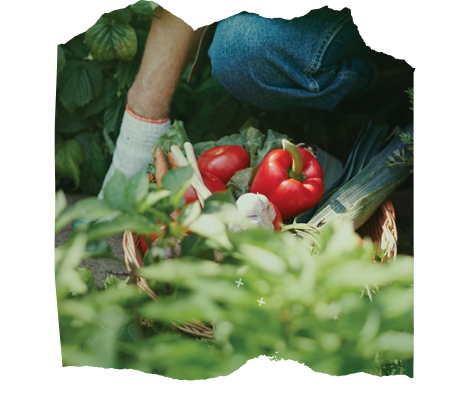 Vă așteptăm cu drag în băcănia noastră să descoperiți gustul autentic al produselor noastre și să ne cunoaștem!