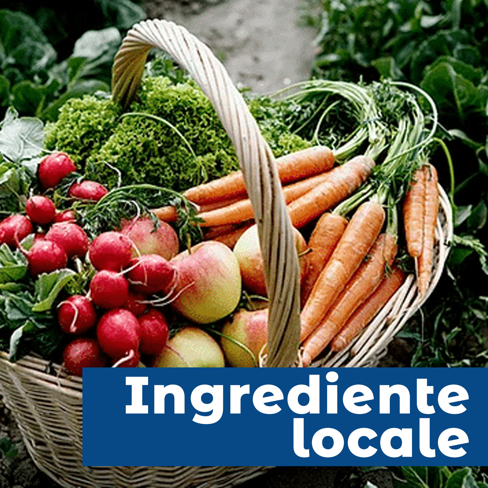 Ingrediente Locale