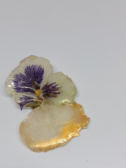 Broșă pe floare de Panseluță Albă [2]