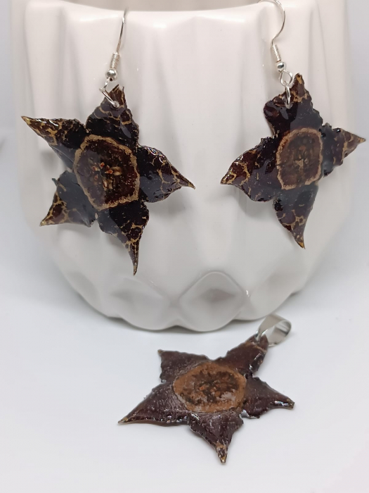 Set ”Cactus Regal ”- cercei și pandantiv din flori naturale de cactus în rășină epoxidică [1]