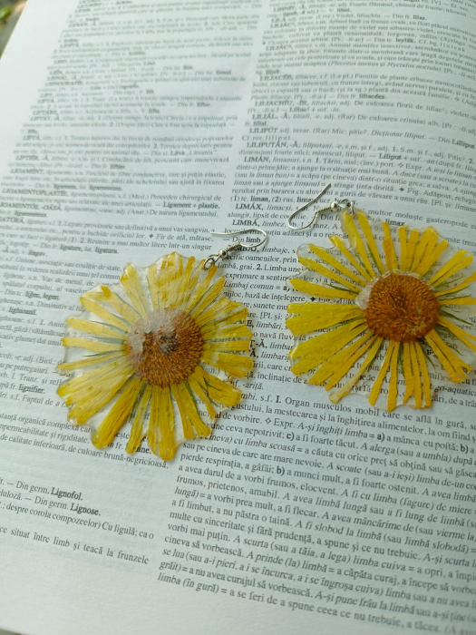 Cercei ”Raze de soare” din floare de margaretă galbenă în rășină epoxidică [2]