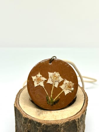 Pandantive - Pandantiv Hoya Dream