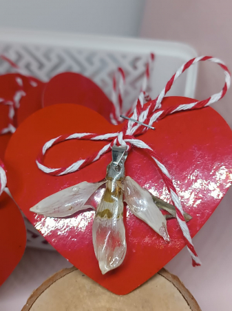 Mărțișoare - ”Ghiocel Simbol ”- mărțișor -pandantiv cu floare de ghiocel natural