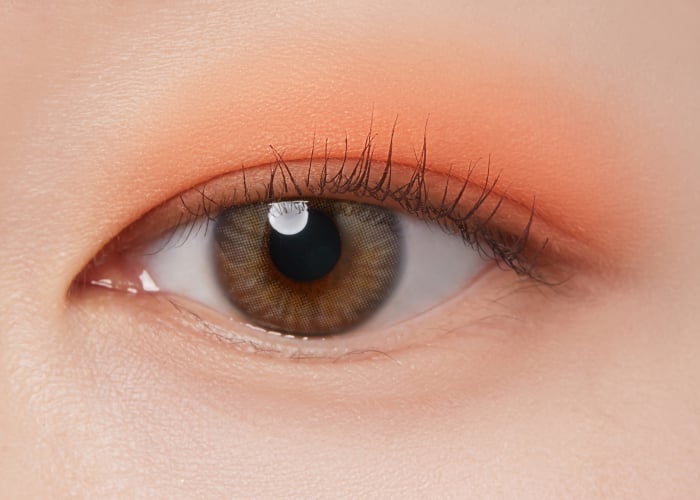 I´M MEME Color Pattern Palette 001 Coral Pattern [6]