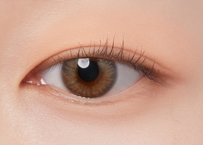 I´M MEME Color Pattern Palette 001 Coral Pattern [4]