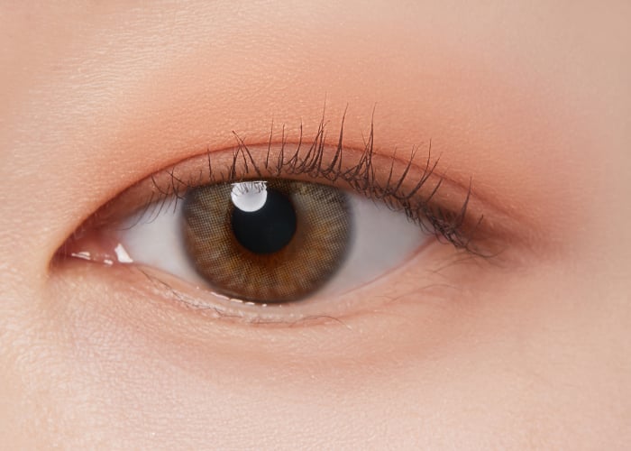 I´M MEME Color Pattern Palette 001 Coral Pattern [7]