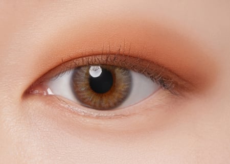 I´M MEME Color Pattern Palette 001 Coral Pattern [4]