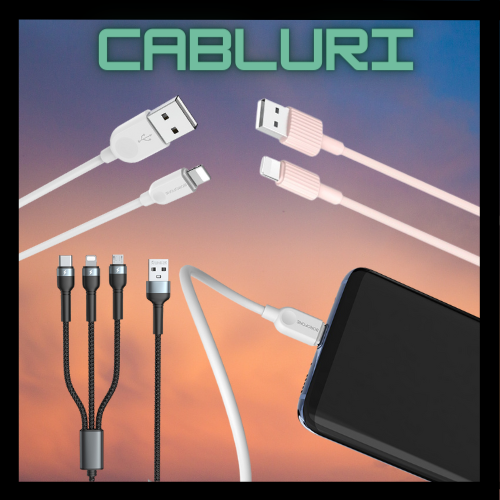 CABLURI DATE / INCARCARE