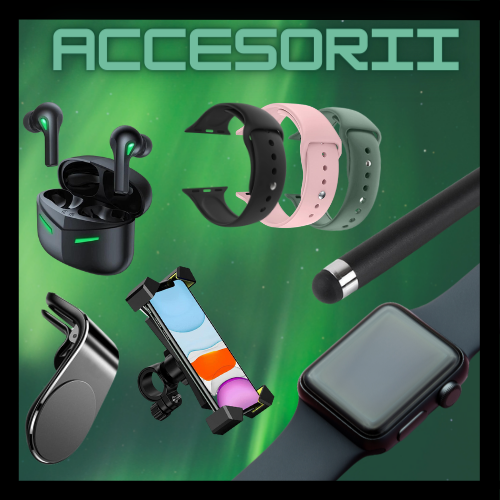 ACCESORII