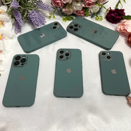 Husa Pentru iPhone 11, Sticla si Silicon, Green [4]