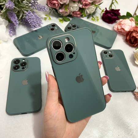 Husa Pentru iPhone 11, Sticla si Silicon, Green [1]