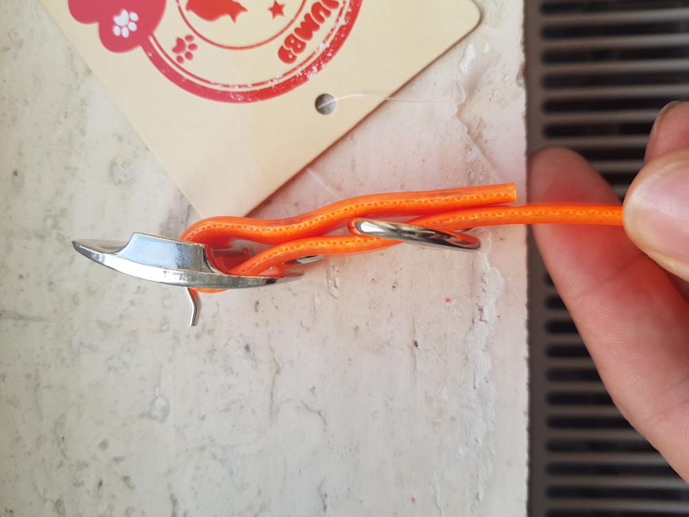 Zgarda caine personalizata [4]