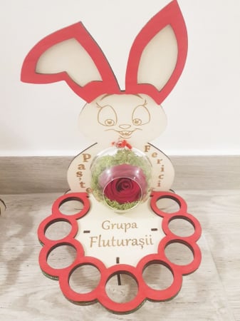 Suport oua - Suport ou 9buc