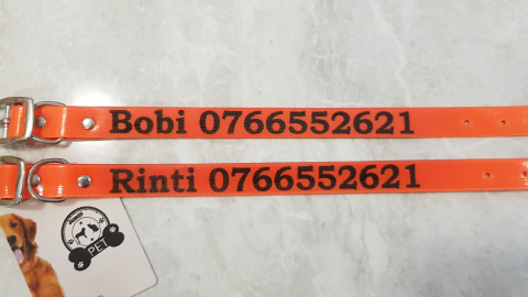 Zgarda caine personalizata - Zgarda caine personalizata