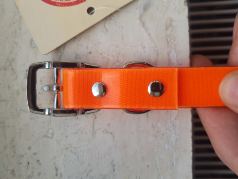 Zgarda caine personalizata [4]