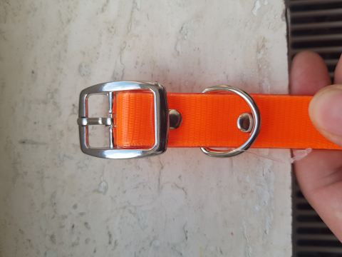 Zgarda caine personalizata [2]