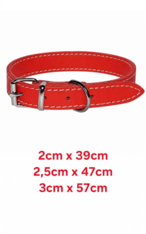 Produse animale de companie - Zgarda personalizata