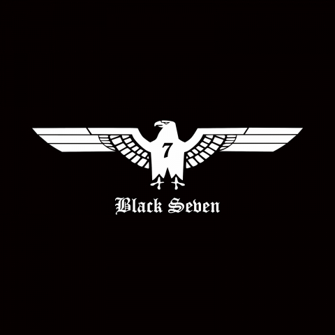 Sticker - Autocolant Acvila Black Seven 17x6cm