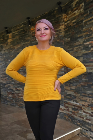 Pulover D263 galben Magnetic [1]