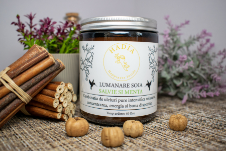 Lumanare soia [2]