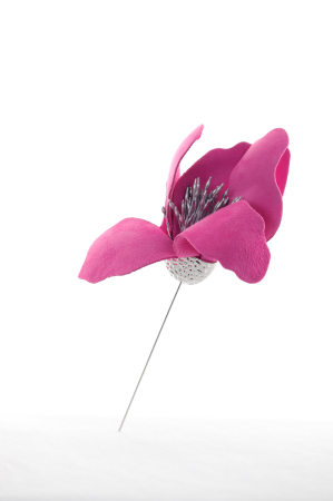 Brosa Crin - Magenta [1]