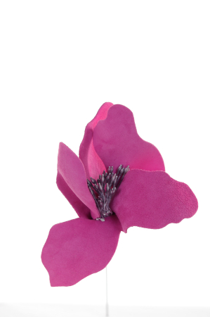 Brosa Crin - Magenta [4]