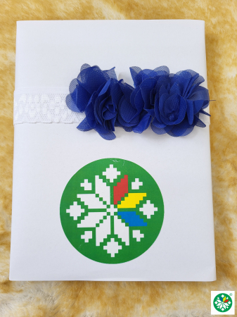 Accesorii - Bentita albastra