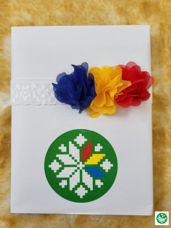 Accesorii - Bentita tricolor