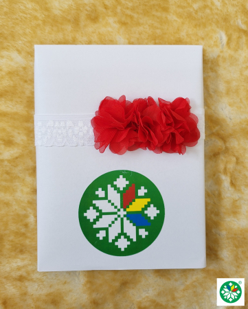 Accesorii - Bentita rosie