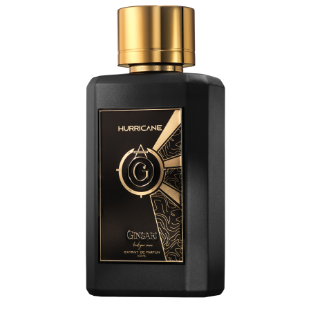 Ingrijire Corp - Ginsari Hurracane unisex
